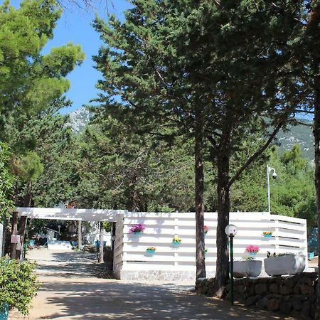 Camping Car Palmasera Кала-Гононе Екстер'єр фото